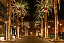 Chiropractic Telemarketing News: California Chiropractor’s Effective Use of Web Resources
